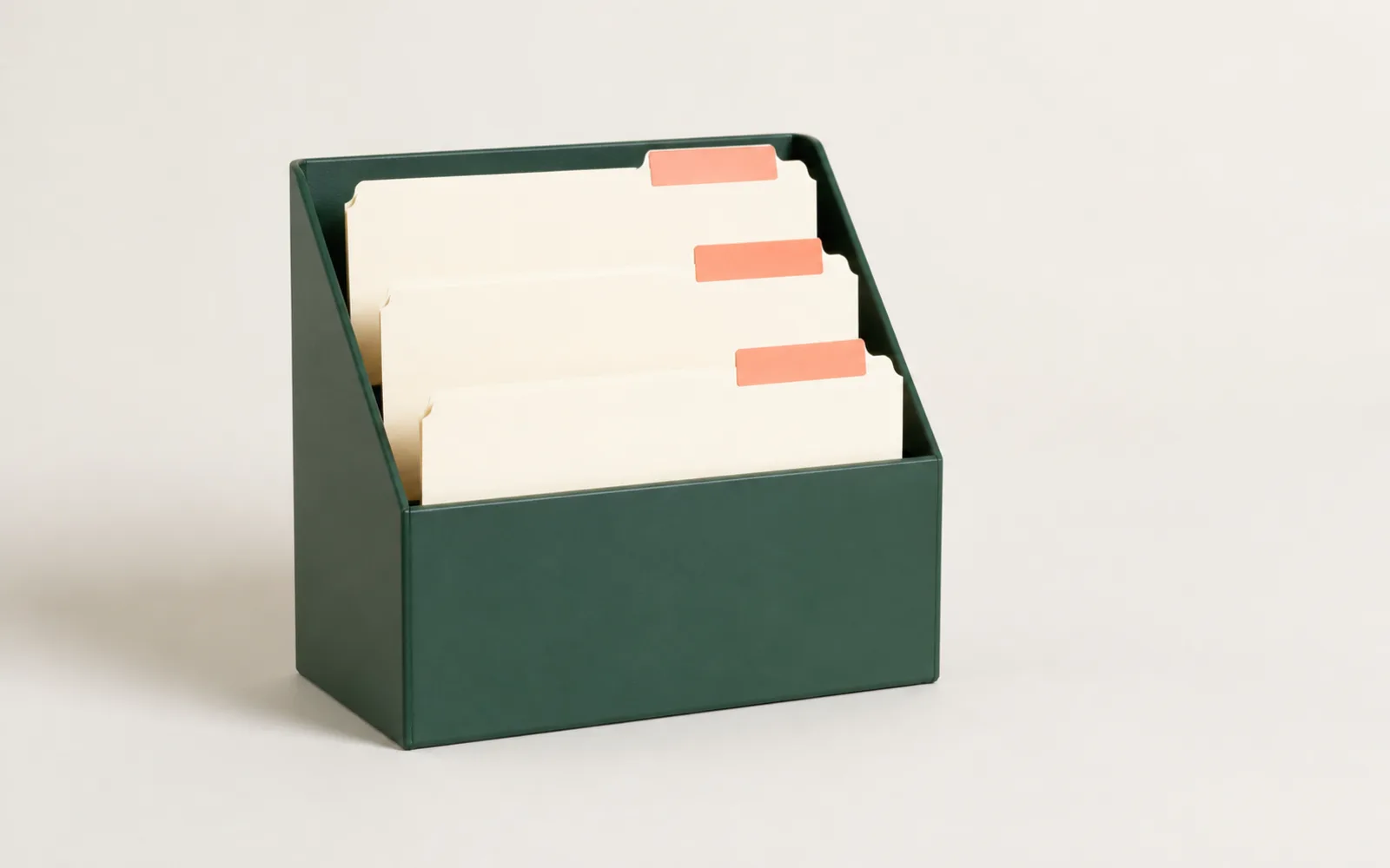 A green organizer holding three blank client folders