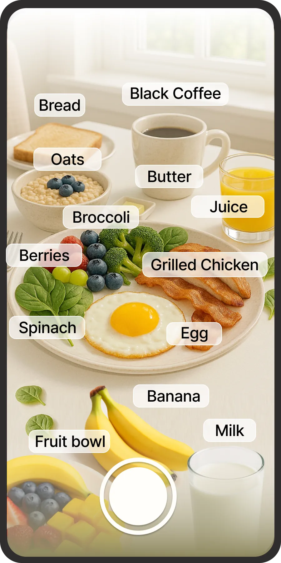 Gram Fit food logging screen with search and favorites